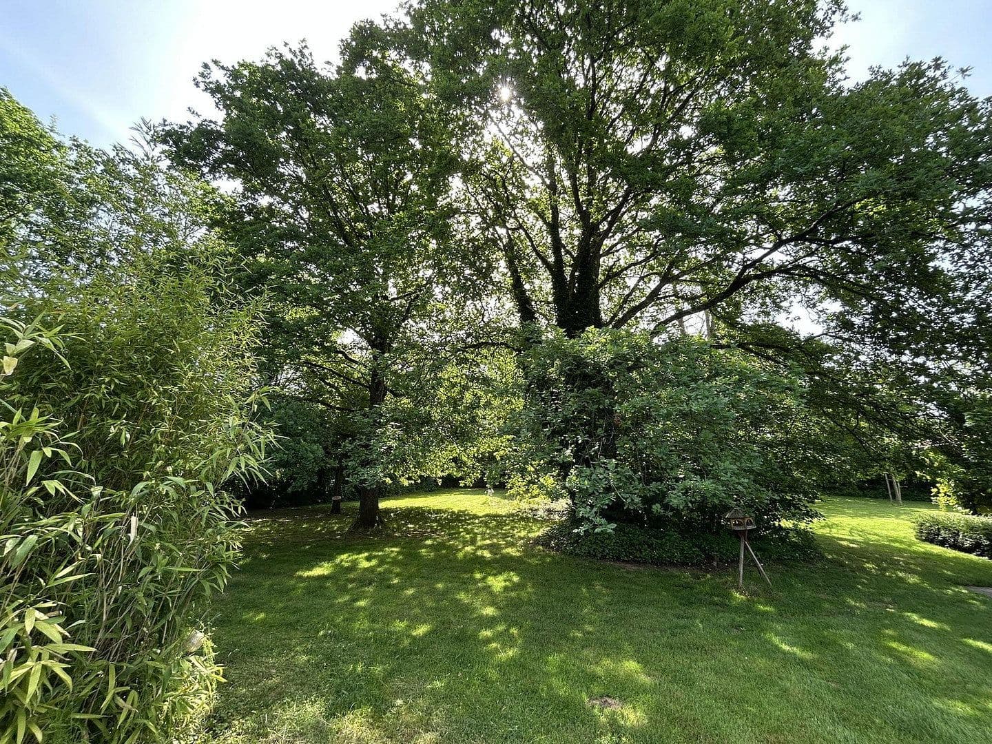 house for sale, 320 m², Kanzem, Rhineland-Palatinate house for sale, 320 m², Kanzem, Rhineland-Palatinate