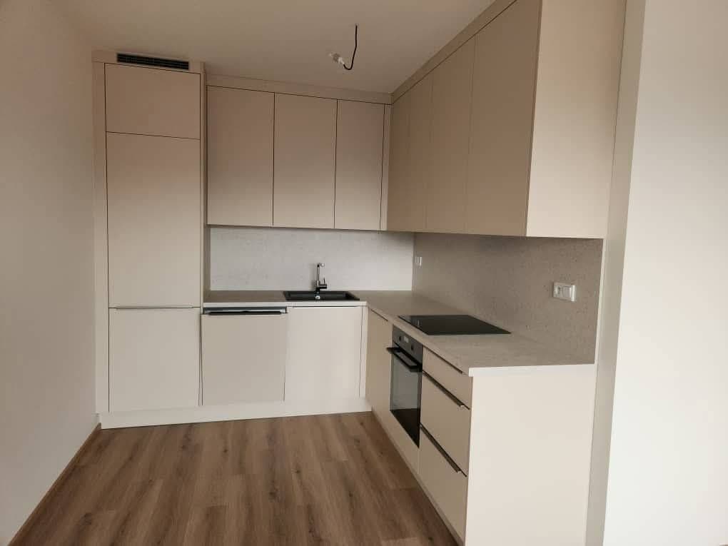 1 bedroom with open-plan kitchen flat to rent, 56 m², Hodkovická, Prague, Prague 1 bedroom with open-plan kitchen flat to rent, 56 m², Hodkovická, Prague, Prague