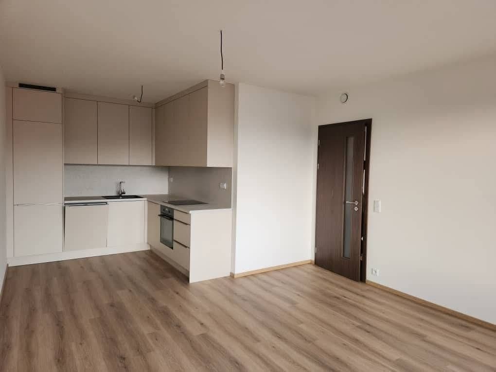 1 bedroom with open-plan kitchen flat to rent, 56 m², Hodkovická, Prague, Prague 1 bedroom with open-plan kitchen flat to rent, 56 m², Hodkovická, Prague, Prague