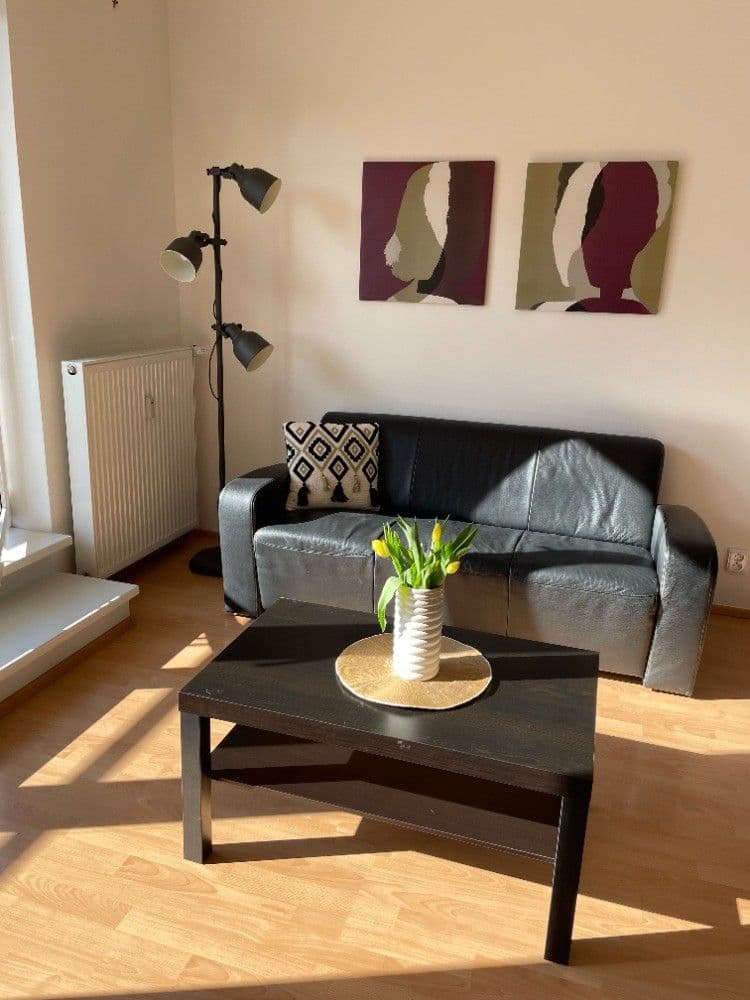 1 bedroom with open-plan kitchen flat to rent, 52 m², Mattioliho, Prague, Prague 1 bedroom with open-plan kitchen flat to rent, 52 m², Mattioliho, Prague, Prague