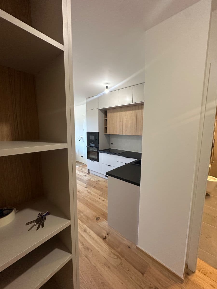 1 bedroom with open-plan kitchen flat to rent, 42 m², Strakonická, Prague, Prague 1 bedroom with open-plan kitchen flat to rent, 42 m², Strakonická, Prague, Prague