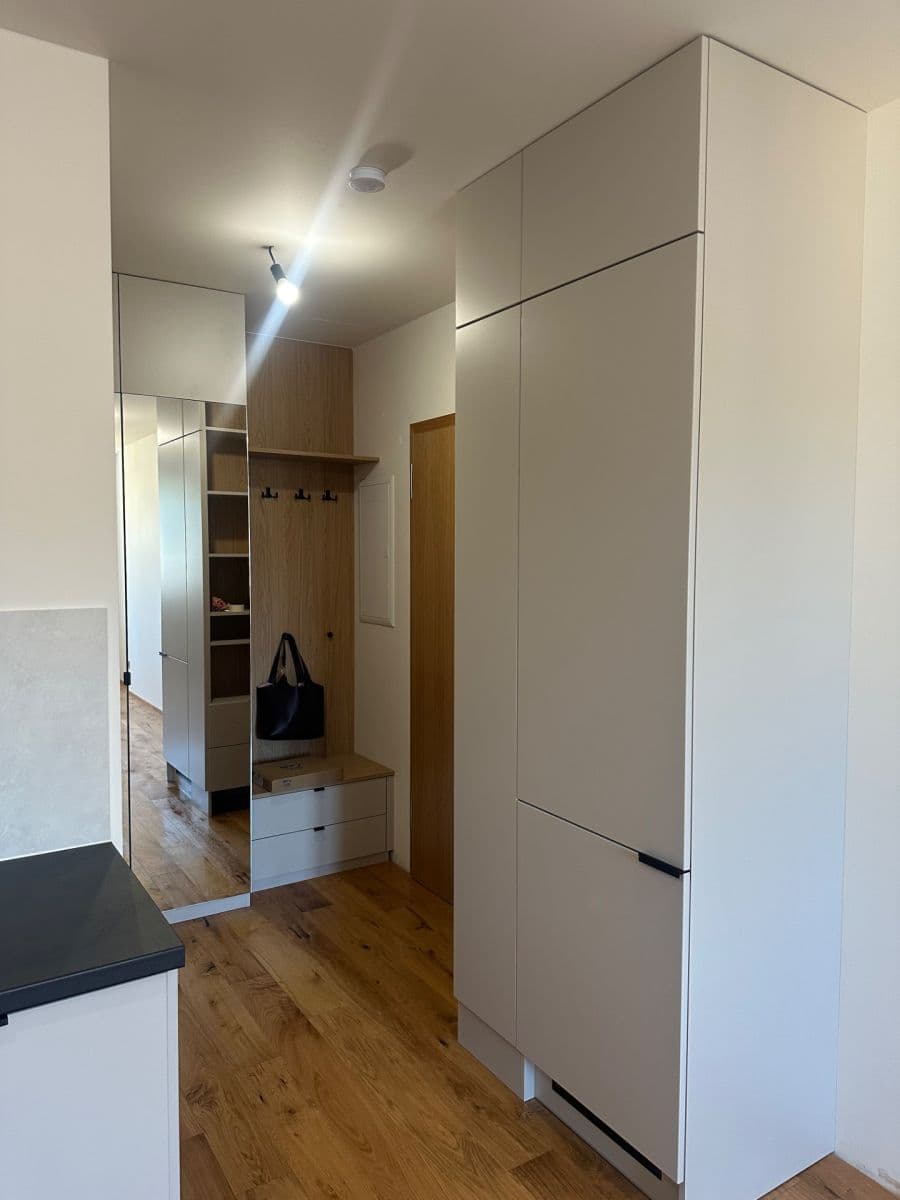 1 bedroom with open-plan kitchen flat to rent, 42 m², Strakonická, Prague, Prague 1 bedroom with open-plan kitchen flat to rent, 42 m², Strakonická, Prague, Prague