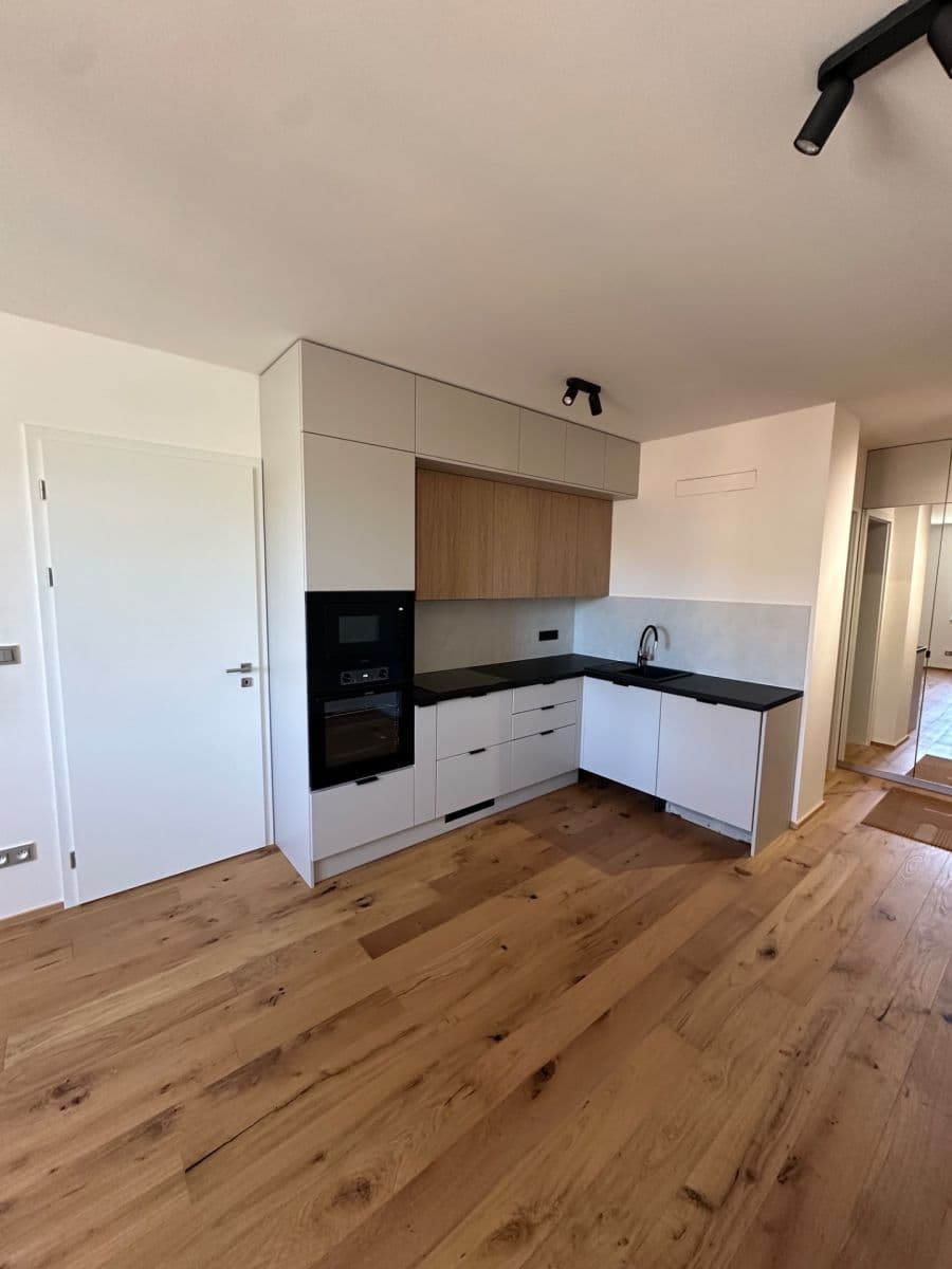 1 bedroom with open-plan kitchen flat to rent, 42 m², Strakonická, Prague, Prague 1 bedroom with open-plan kitchen flat to rent, 42 m², Strakonická, Prague, Prague