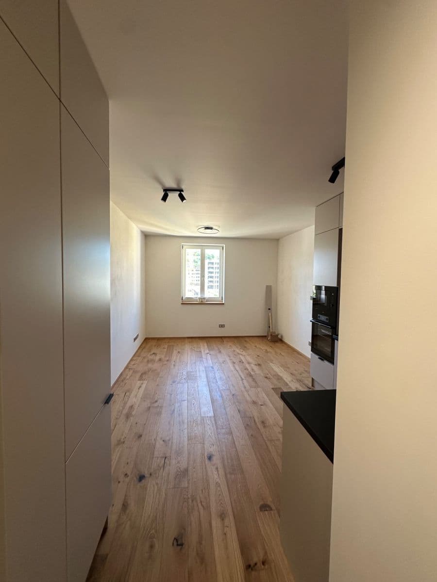 1 bedroom with open-plan kitchen flat to rent, 42 m², Strakonická, Prague, Prague 1 bedroom with open-plan kitchen flat to rent, 42 m², Strakonická, Prague, Prague