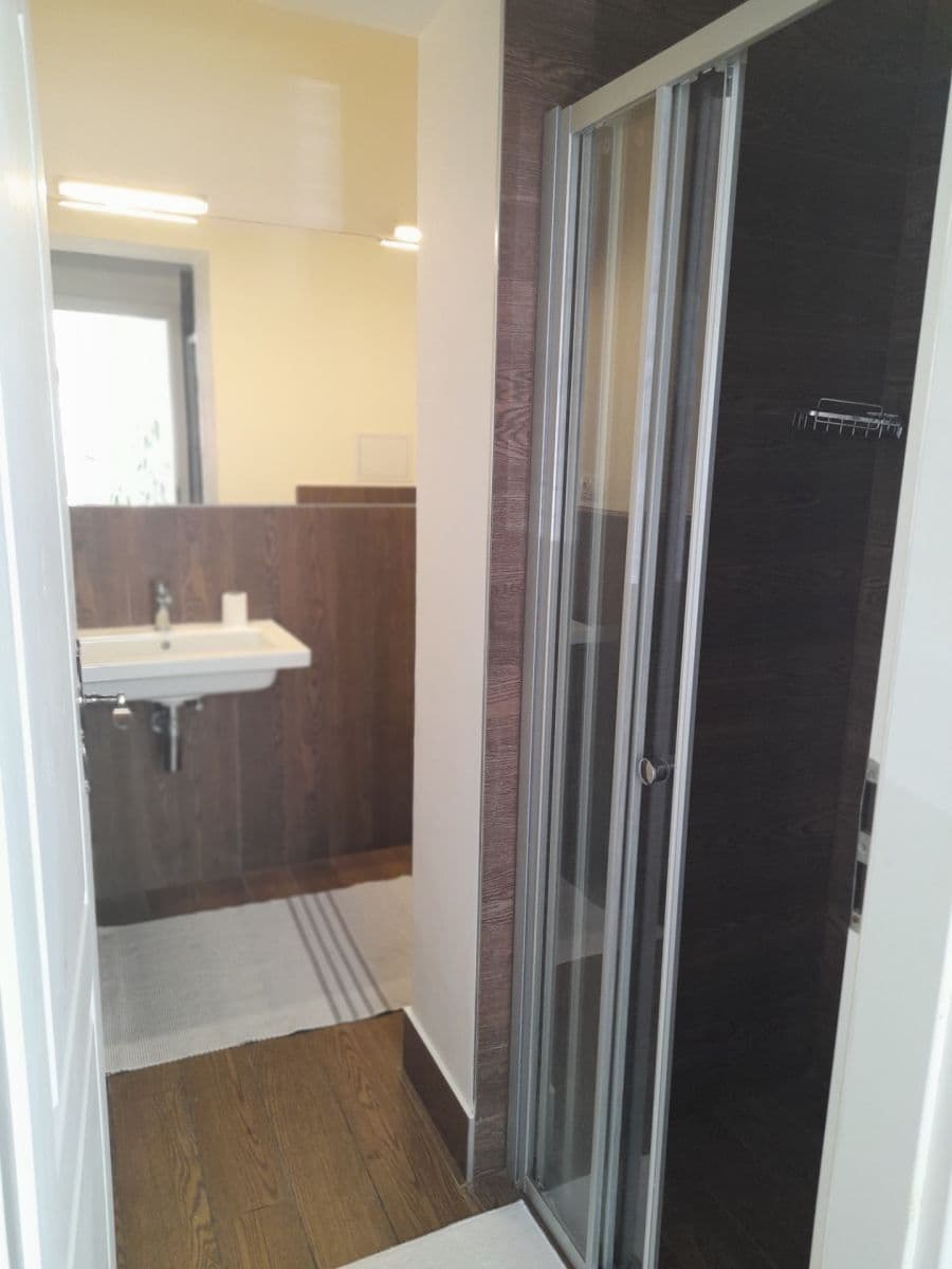 2 bedroom with open-plan kitchen flat to rent, 55 m², Neklanova, Prague, Prague 2 bedroom with open-plan kitchen flat to rent, 55 m², Neklanova, Prague, Prague