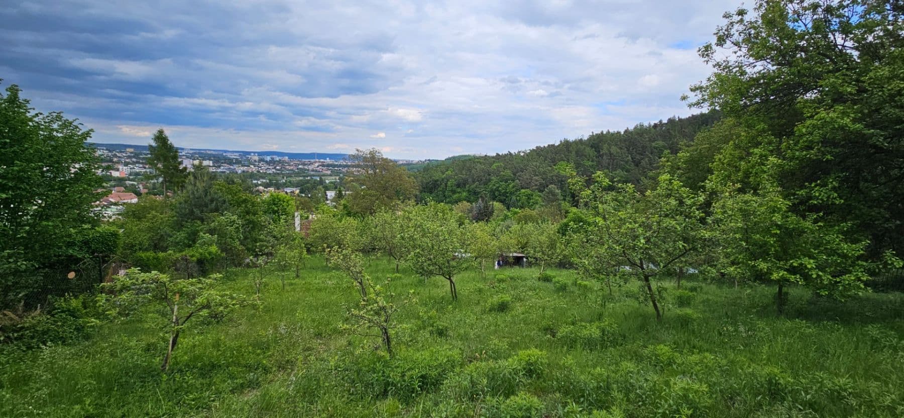 plot to rent, 5,966 m², Muškátová, Brno, Jihomoravský Region plot to rent, 5,966 m², Muškátová, Brno, Jihomoravský Region