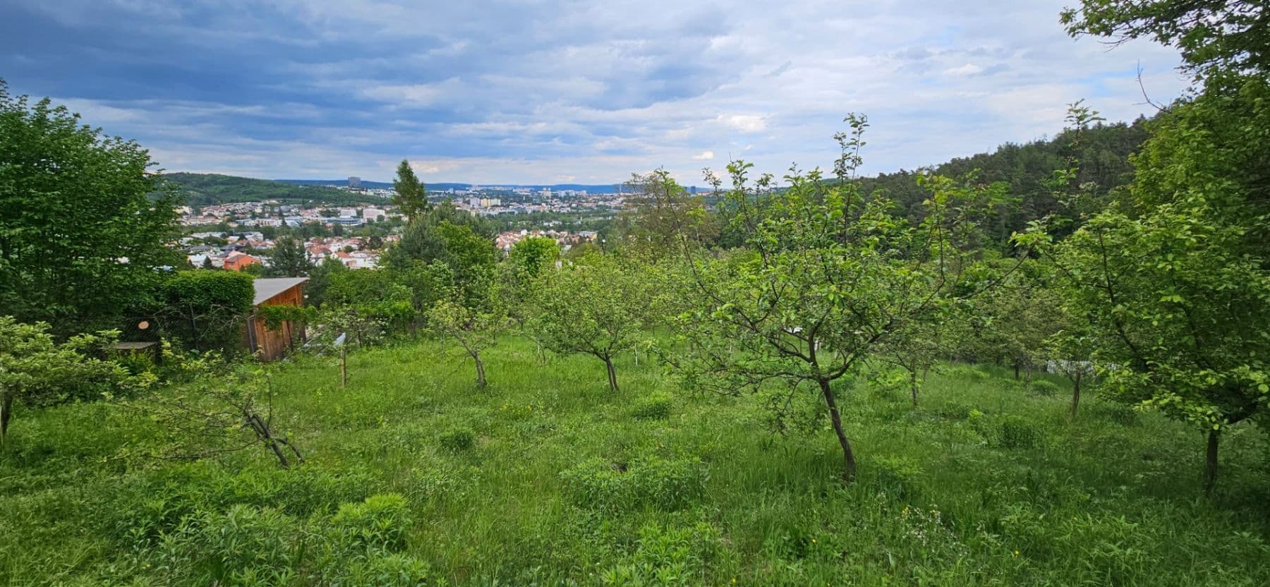 plot to rent, 5,966 m², Muškátová, Brno, Jihomoravský Region plot to rent, 5,966 m², Muškátová, Brno, Jihomoravský Region