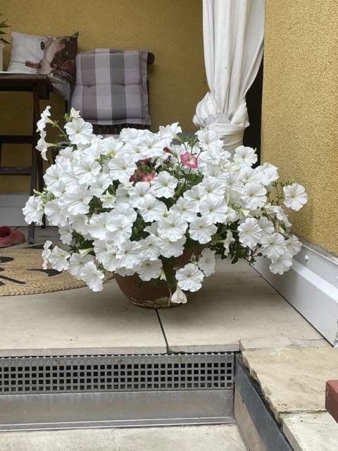 house for sale, 140 m², Heppenheim, Hesse house for sale, 140 m², Heppenheim, Hesse