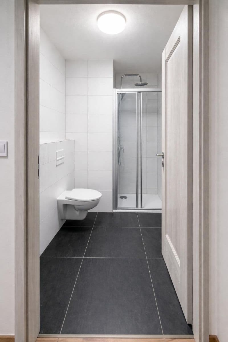 flat to rent, 51 m², Na Petynce, Prague, Prague flat to rent, 51 m², Na Petynce, Prague, Prague