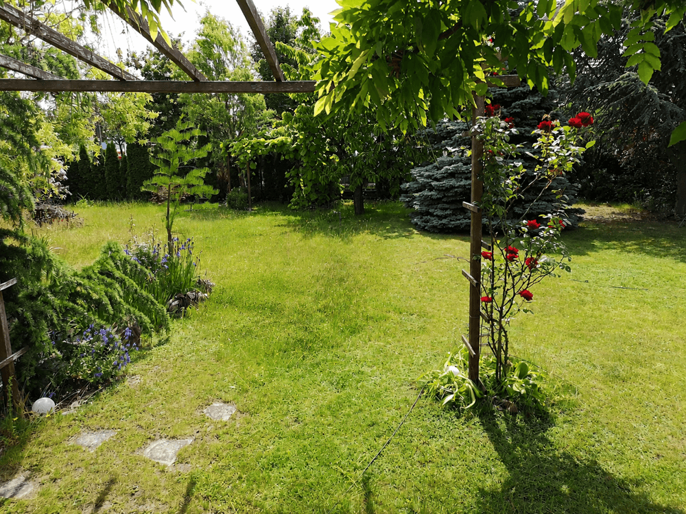 house for sale, 70 m², Hoppegarten, Brandenburg house for sale, 70 m², Hoppegarten, Brandenburg