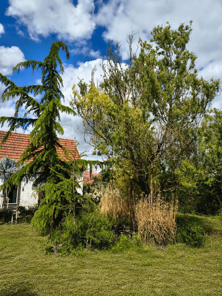 house for sale, 70 m², Hoppegarten, Brandenburg house for sale, 70 m², Hoppegarten, Brandenburg