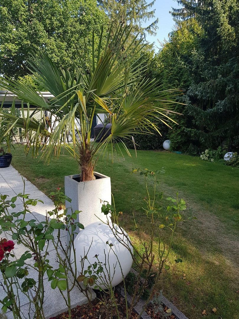 house to rent, 300 m², Dreieich, Hesse house to rent, 300 m², Dreieich, Hesse