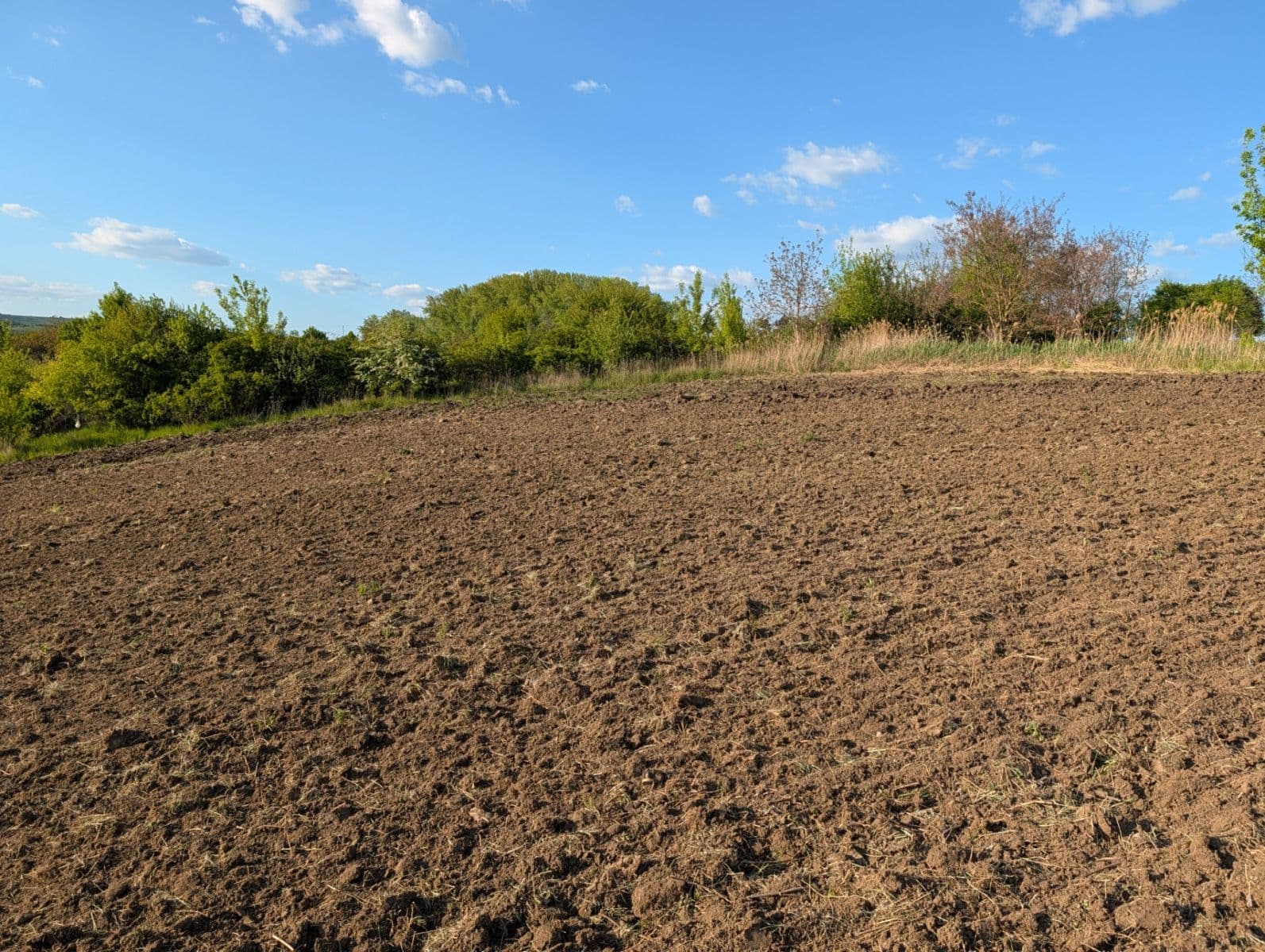 plot for sale, 620 m², Nosislav, Jihomoravský Region plot for sale, 620 m², Nosislav, Jihomoravský Region