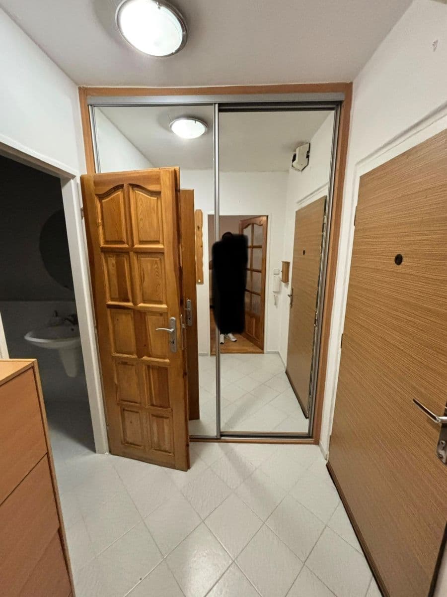 1 bedroom with open-plan kitchen flat for sale, 50 m², Trytova, Prague, Prague 1 bedroom with open-plan kitchen flat for sale, 50 m², Trytova, Prague, Prague