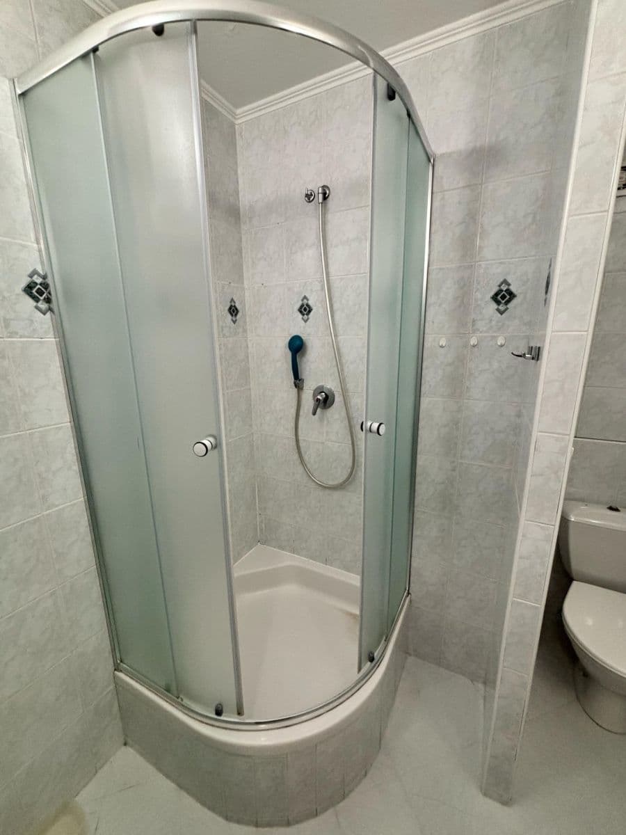 1 bedroom with open-plan kitchen flat for sale, 50 m², Trytova, Prague, Prague 1 bedroom with open-plan kitchen flat for sale, 50 m², Trytova, Prague, Prague