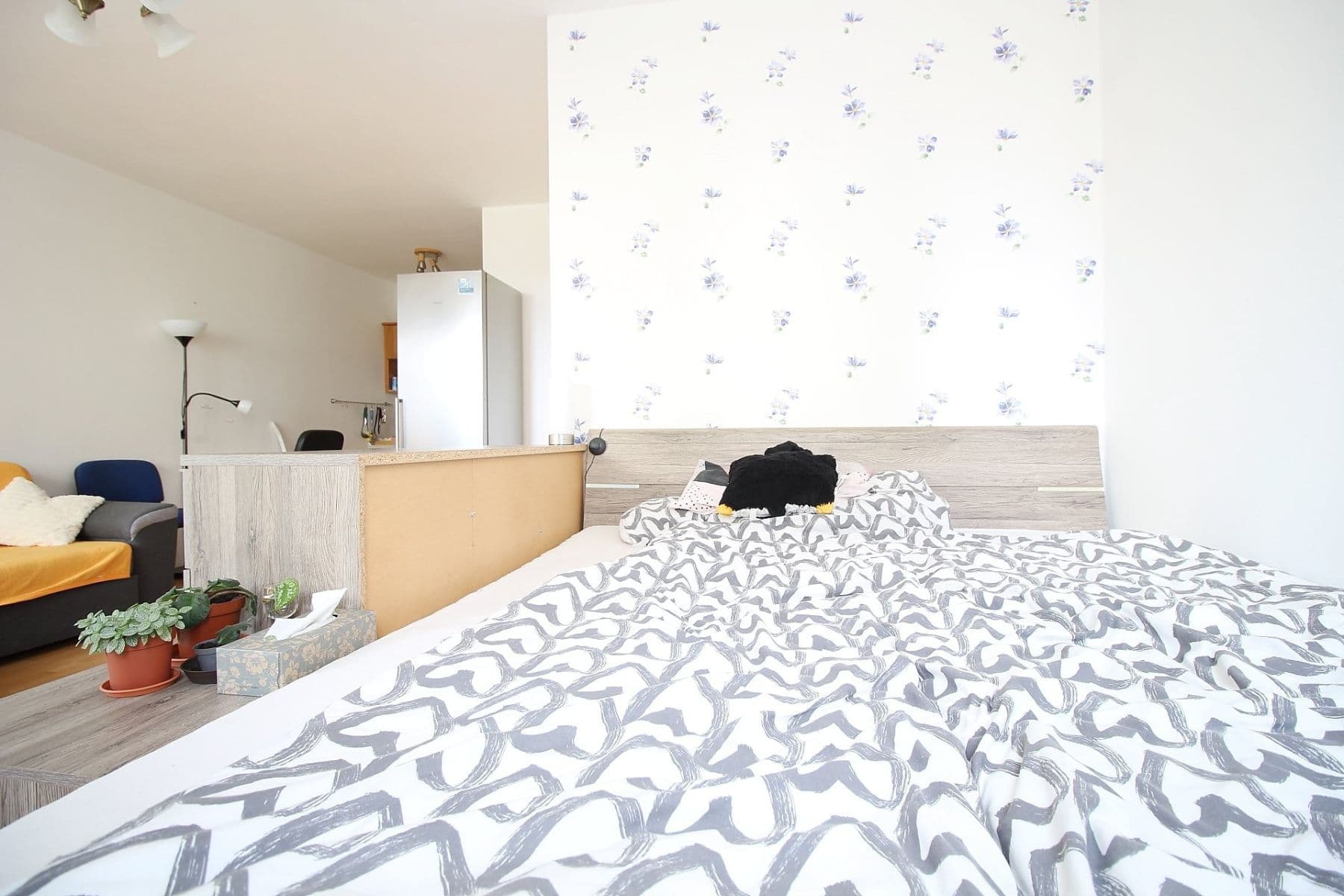 Studio flat to rent, 35 m², Rižská, Prague, Prague Studio flat to rent, 35 m², Rižská, Prague, Prague