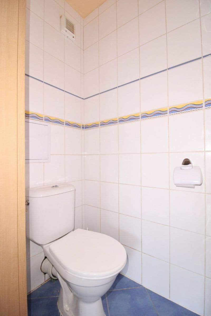 1 bedroom with open-plan kitchen flat to rent, 44 m², Pod Vrchem, Mělník, Středočeský Region 1 bedroom with open-plan kitchen flat to rent, 44 m², Pod Vrchem, Mělník, Středočeský Region