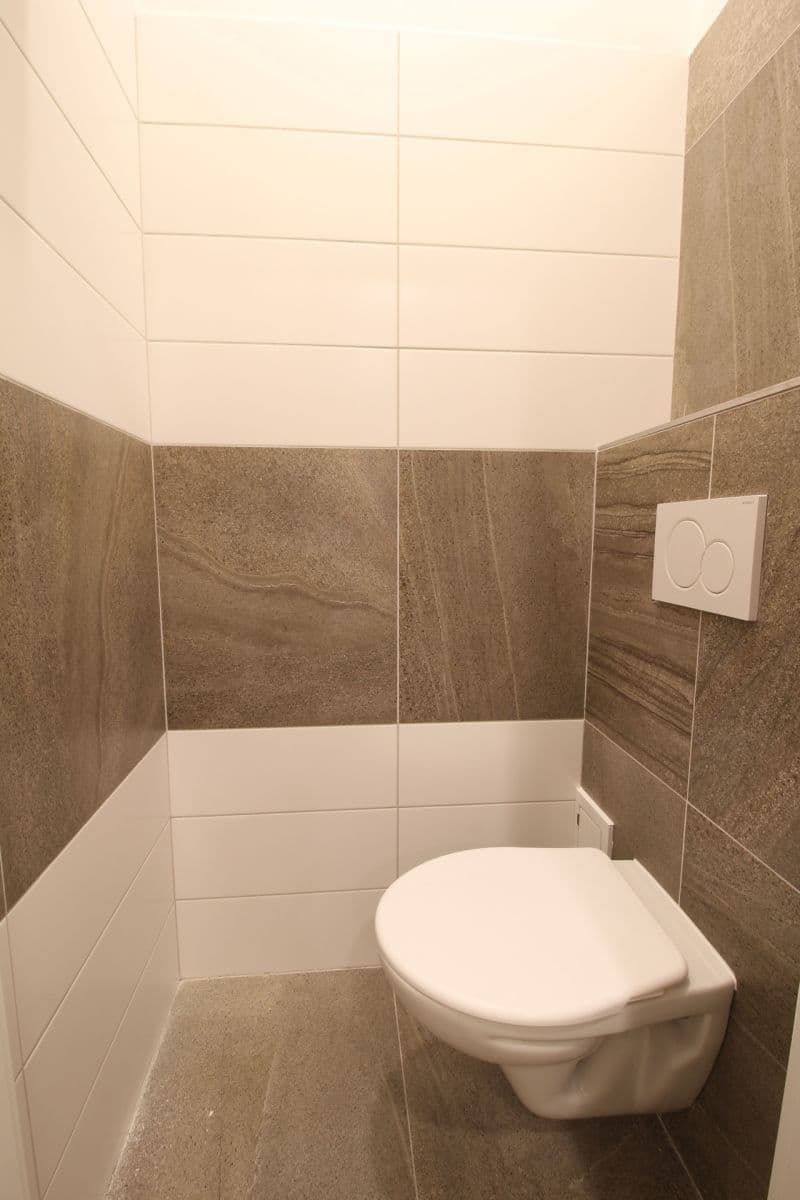 1 bedroom with open-plan kitchen flat to rent, 51 m², Freyova, Prague, Prague 1 bedroom with open-plan kitchen flat to rent, 51 m², Freyova, Prague, Prague