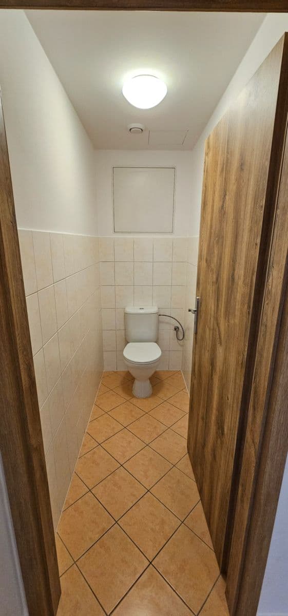 1 bedroom with open-plan kitchen flat to rent, 50 m², Bratislavská, Prague, Prague 1 bedroom with open-plan kitchen flat to rent, 50 m², Bratislavská, Prague, Prague