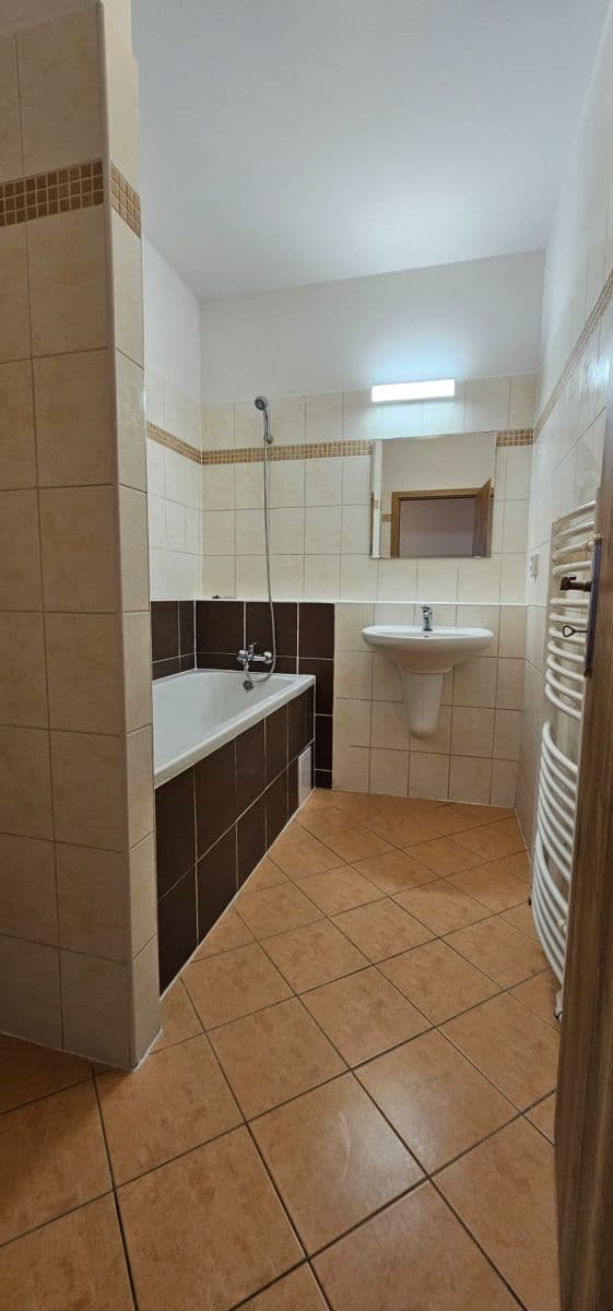 1 bedroom with open-plan kitchen flat to rent, 50 m², Bratislavská, Prague, Prague 1 bedroom with open-plan kitchen flat to rent, 50 m², Bratislavská, Prague, Prague