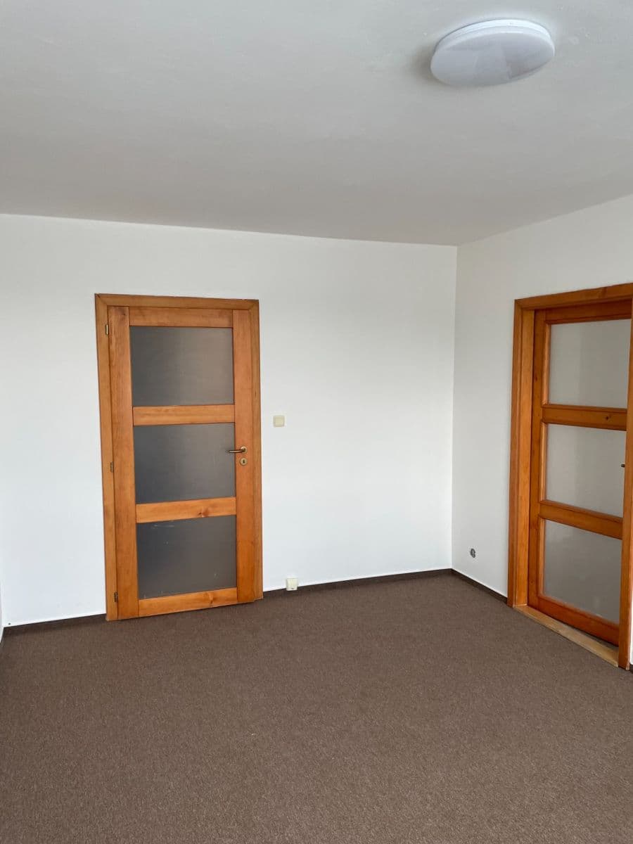 1 bedroom with open-plan kitchen flat to rent, 42 m², U Vlečky, Prague, Prague 1 bedroom with open-plan kitchen flat to rent, 42 m², U Vlečky, Prague, Prague