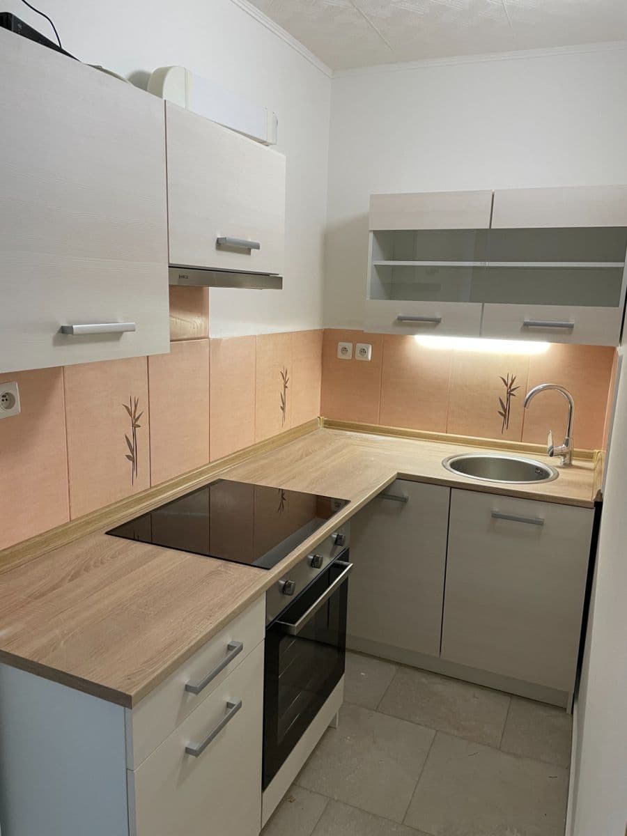 1 bedroom with open-plan kitchen flat to rent, 42 m², U Vlečky, Prague, Prague 1 bedroom with open-plan kitchen flat to rent, 42 m², U Vlečky, Prague, Prague