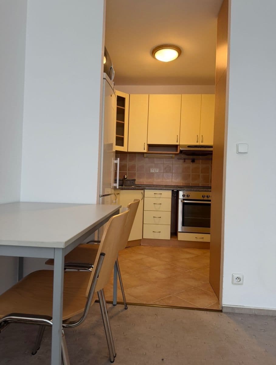 1 bedroom with open-plan kitchen flat to rent, 44 m², Na Rovnosti, Prague, Prague 1 bedroom with open-plan kitchen flat to rent, 44 m², Na Rovnosti, Prague, Prague