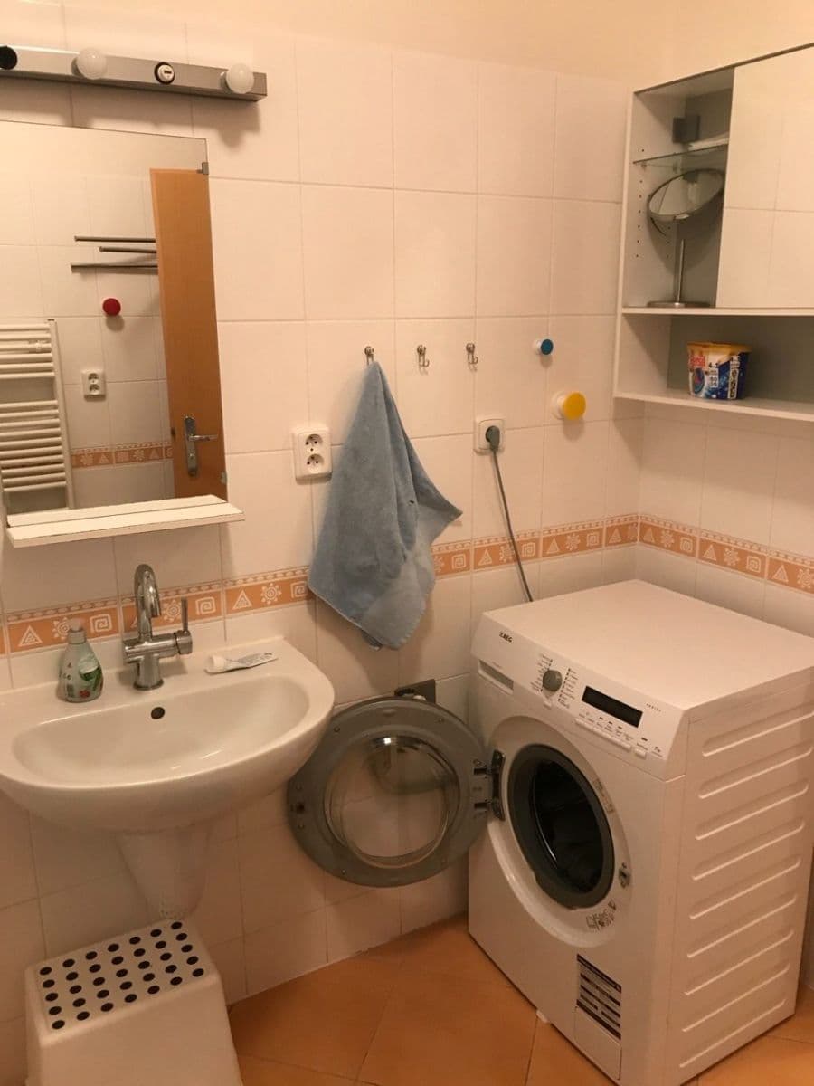 1 bedroom with open-plan kitchen flat to rent, 56 m², Muškova, Prague, Prague 1 bedroom with open-plan kitchen flat to rent, 56 m², Muškova, Prague, Prague