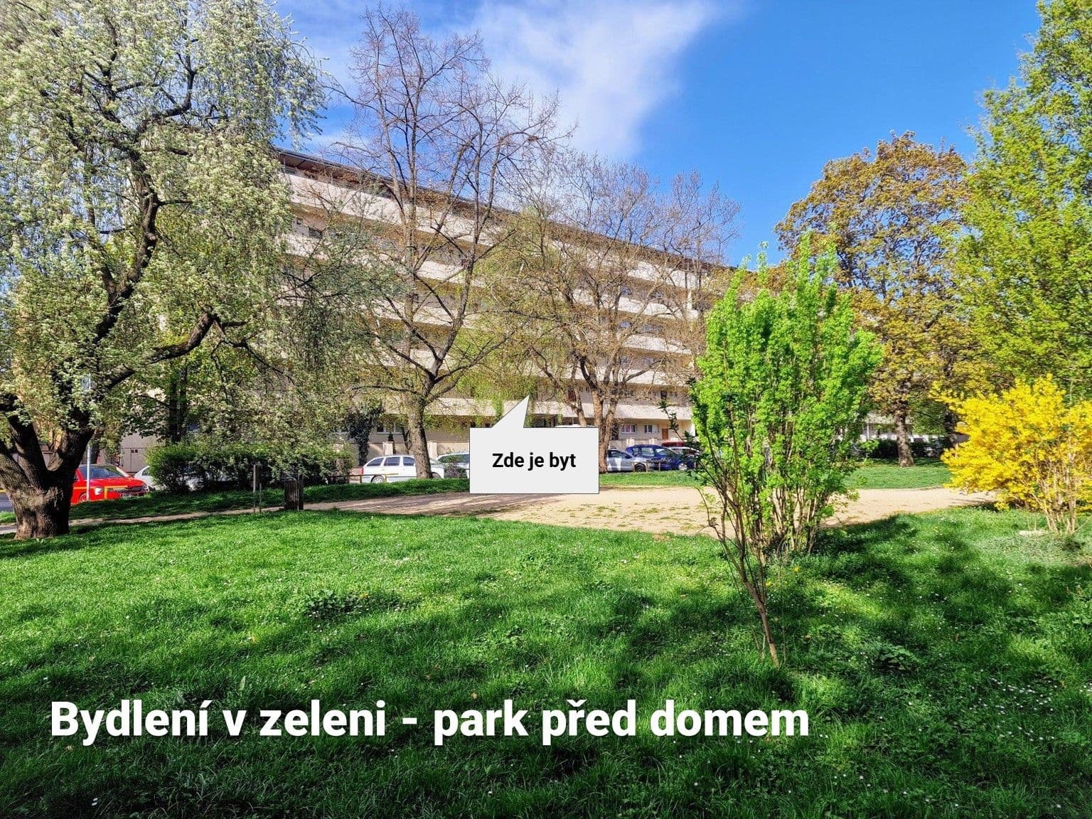 1 bedroom with open-plan kitchen flat to rent, 43 m², Humpolecká, Prague, Prague 1 bedroom with open-plan kitchen flat to rent, 43 m², Humpolecká, Prague, Prague