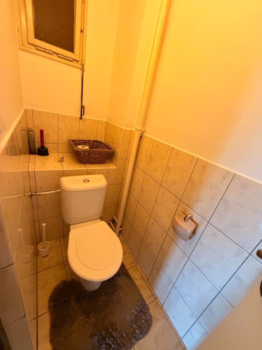 1 bedroom with open-plan kitchen flat to rent, 48 m², Bělohorská, Prague, Prague 1 bedroom with open-plan kitchen flat to rent, 48 m², Bělohorská, Prague, Prague