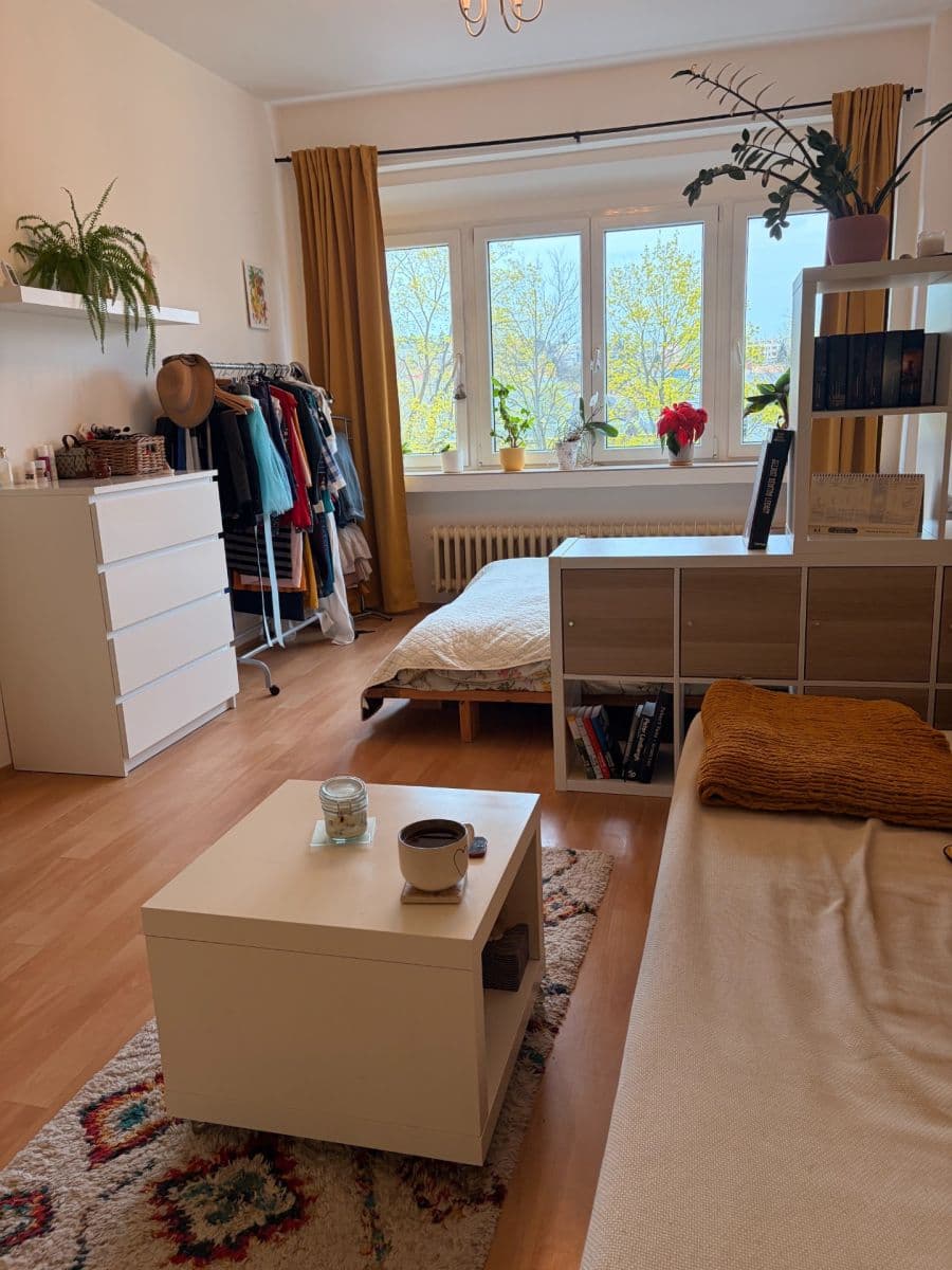 1 bedroom with open-plan kitchen flat to rent, 48 m², Bělohorská, Prague, Prague 1 bedroom with open-plan kitchen flat to rent, 48 m², Bělohorská, Prague, Prague