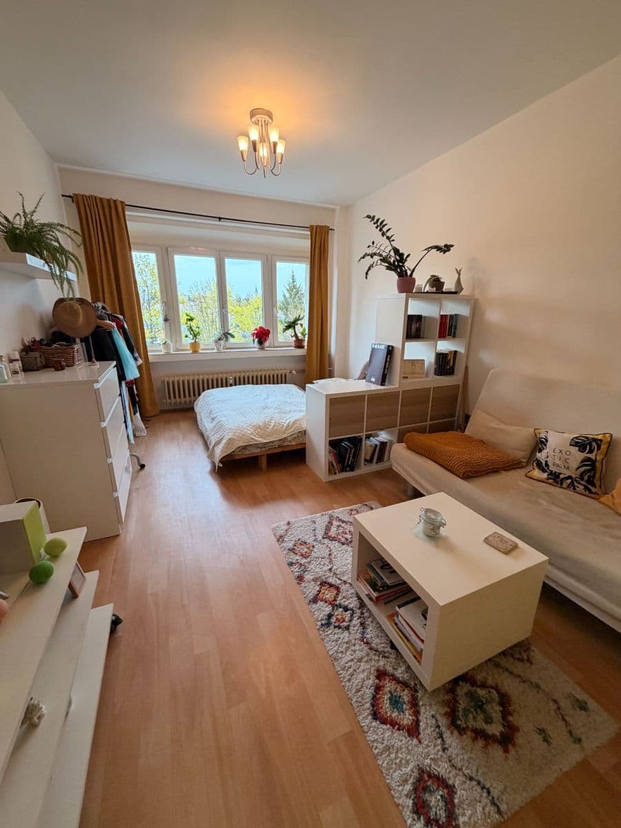 1 bedroom with open-plan kitchen flat to rent, 48 m², Bělohorská, Prague, Prague 1 bedroom with open-plan kitchen flat to rent, 48 m², Bělohorská, Prague, Prague