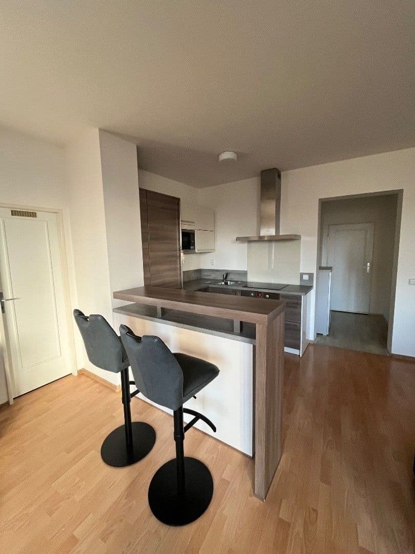 1 bedroom with open-plan kitchen flat to rent, 57 m², Za černým mostem, Prague, Prague 1 bedroom with open-plan kitchen flat to rent, 57 m², Za černým mostem, Prague, Prague