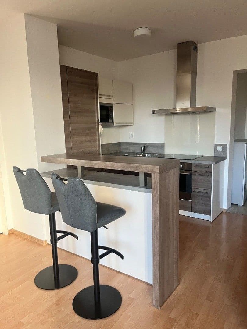 1 bedroom with open-plan kitchen flat to rent, 57 m², Za černým mostem, Prague, Prague 1 bedroom with open-plan kitchen flat to rent, 57 m², Za černým mostem, Prague, Prague