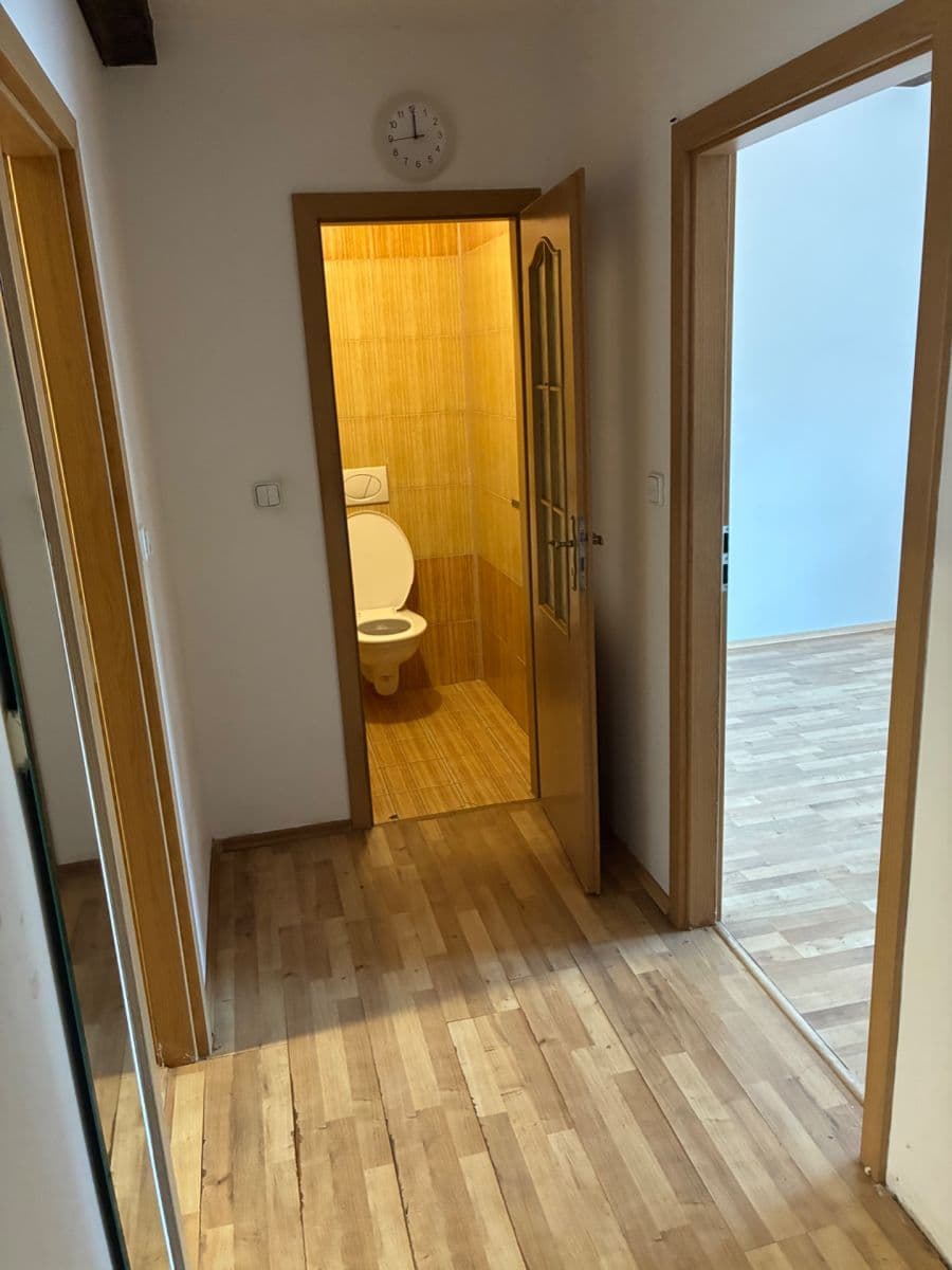 1 bedroom with open-plan kitchen flat to rent, 63 m², Musílkova, Prague, Prague 1 bedroom with open-plan kitchen flat to rent, 63 m², Musílkova, Prague, Prague