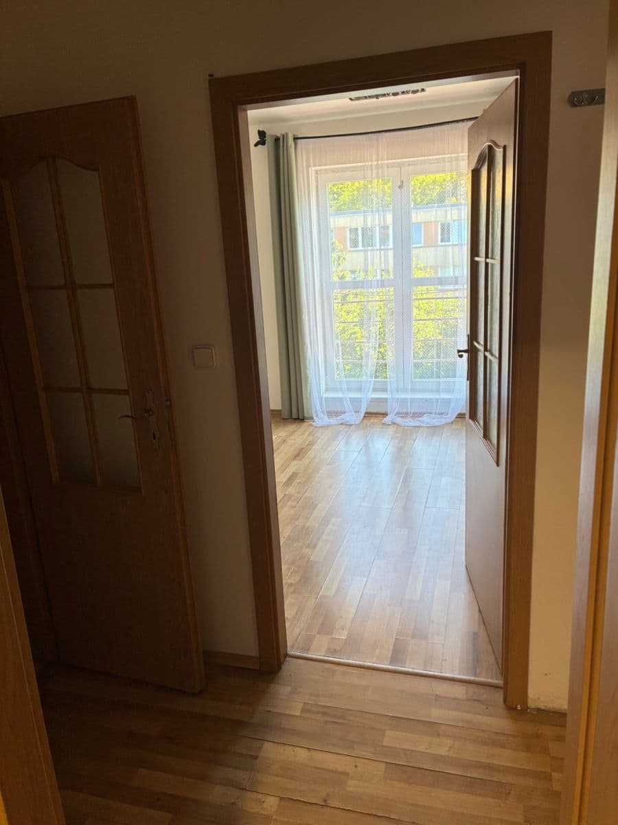 1 bedroom with open-plan kitchen flat to rent, 63 m², Musílkova, Prague, Prague 1 bedroom with open-plan kitchen flat to rent, 63 m², Musílkova, Prague, Prague