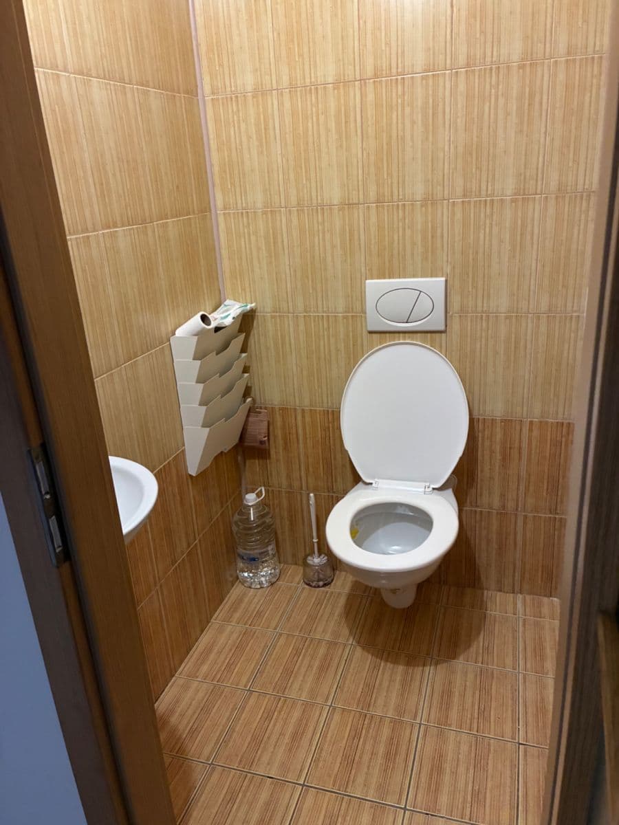 1 bedroom with open-plan kitchen flat to rent, 63 m², Musílkova, Prague, Prague 1 bedroom with open-plan kitchen flat to rent, 63 m², Musílkova, Prague, Prague