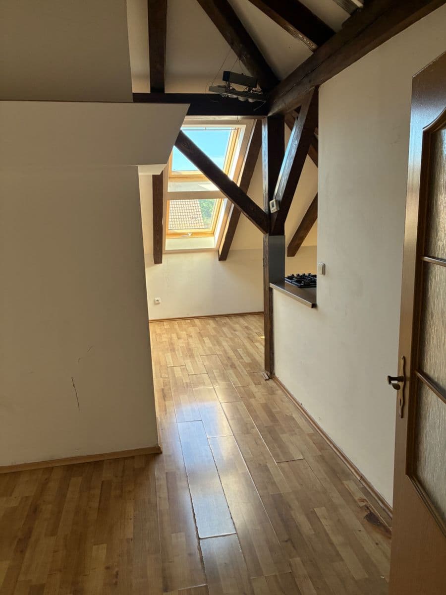 1 bedroom with open-plan kitchen flat to rent, 63 m², Musílkova, Prague, Prague 1 bedroom with open-plan kitchen flat to rent, 63 m², Musílkova, Prague, Prague