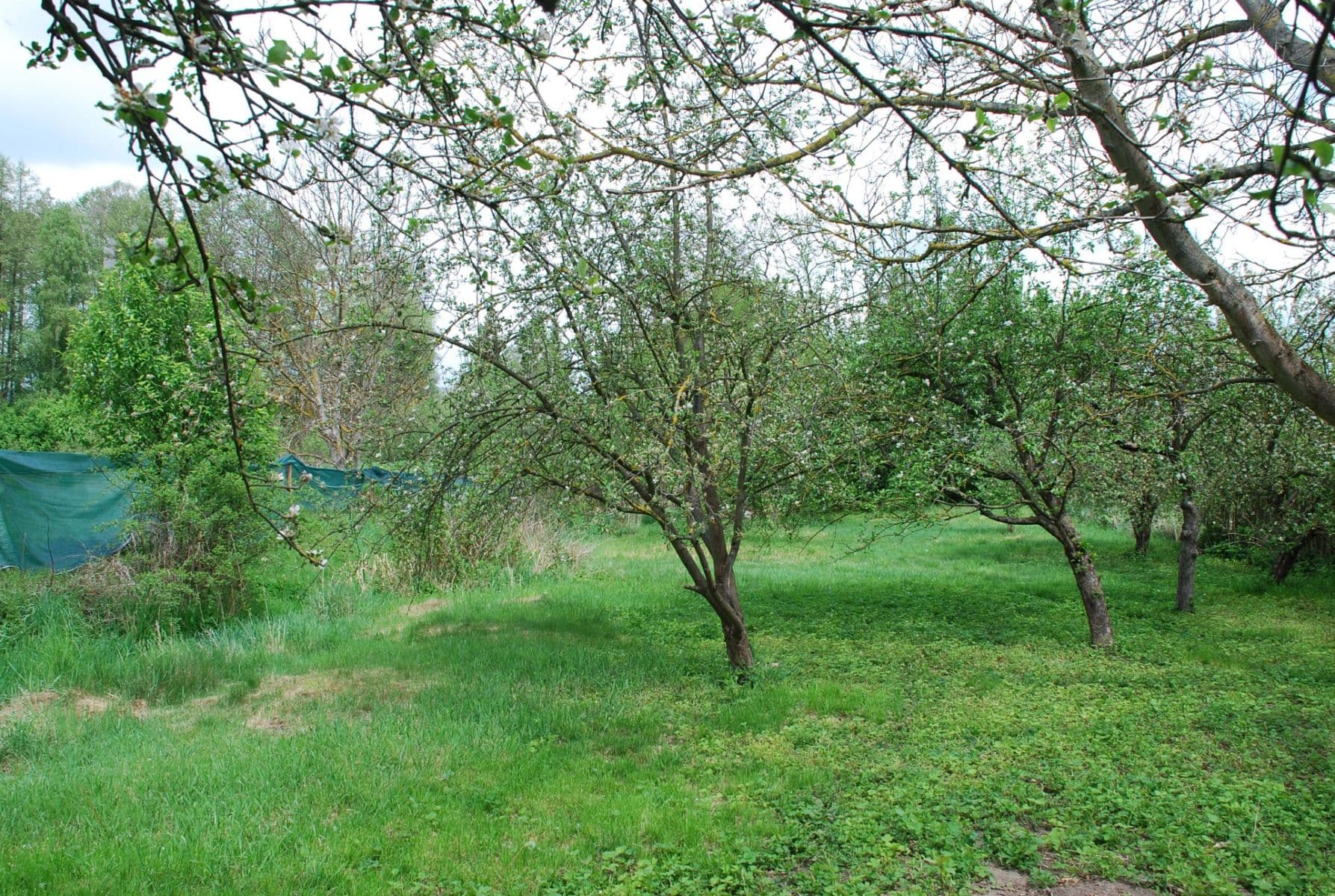 plot for sale, 798 m², Sedlec-Prčice, Středočeský Region plot for sale, 798 m², Sedlec-Prčice, Středočeský Region