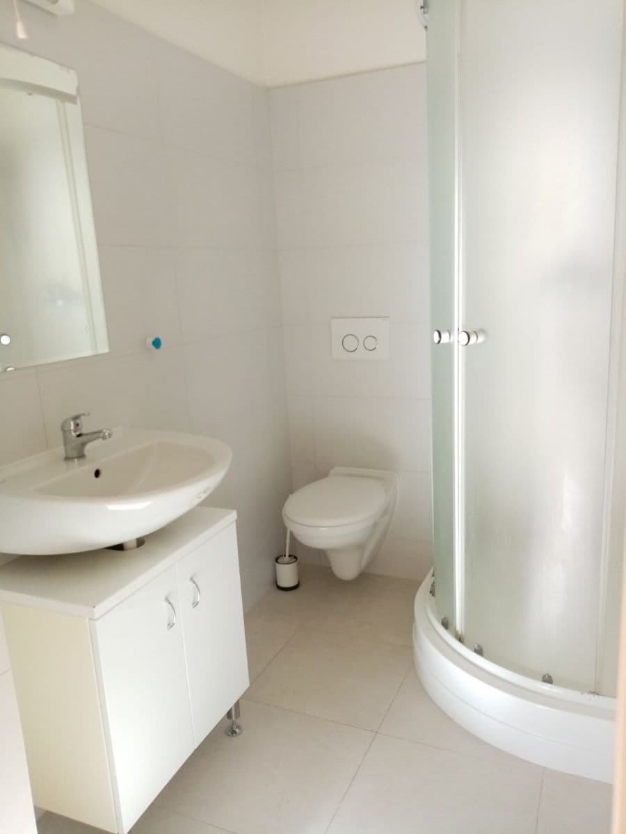 1 bedroom with open-plan kitchen flat to rent, 50 m², U Tvrze, Prague, Prague 1 bedroom with open-plan kitchen flat to rent, 50 m², U Tvrze, Prague, Prague