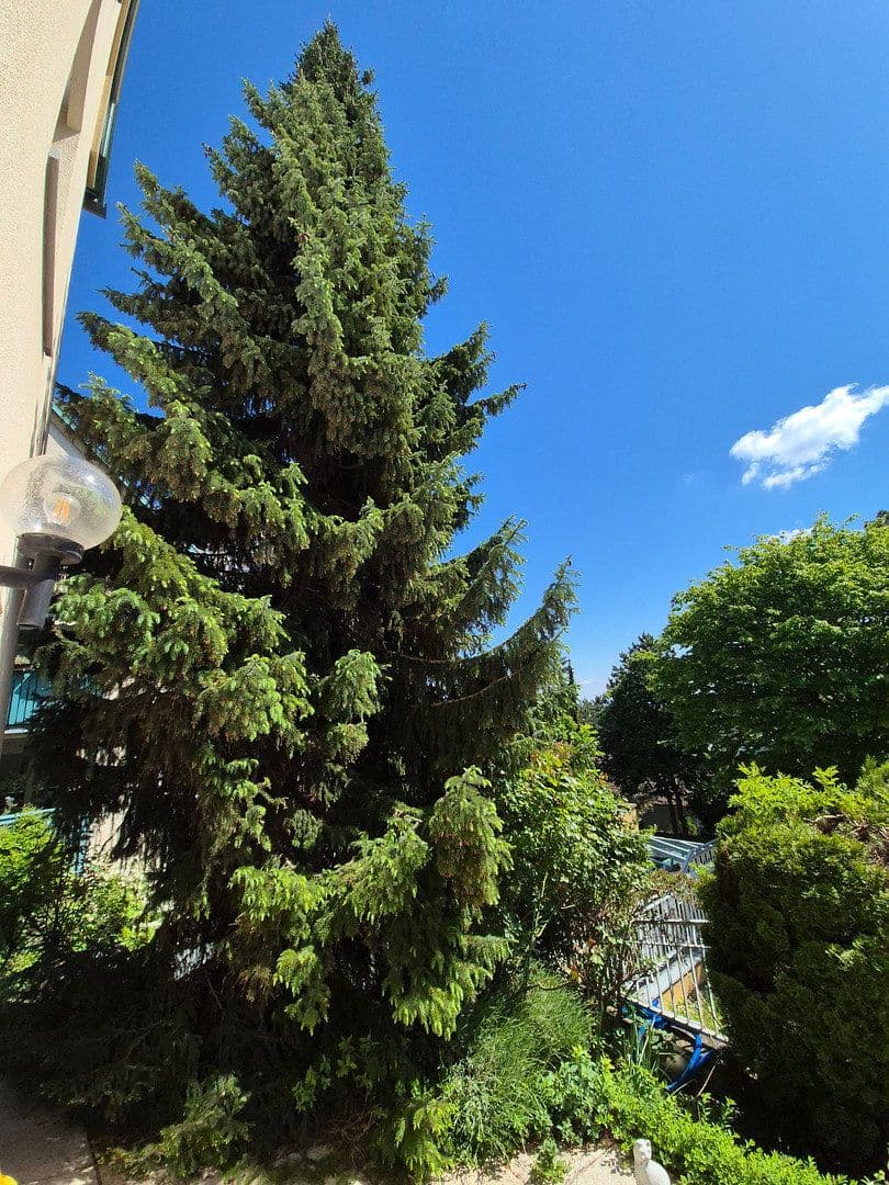 3 bedroom flat for sale, 95 m², Wien, Vienna 3 bedroom flat for sale, 95 m², Wien, Vienna
