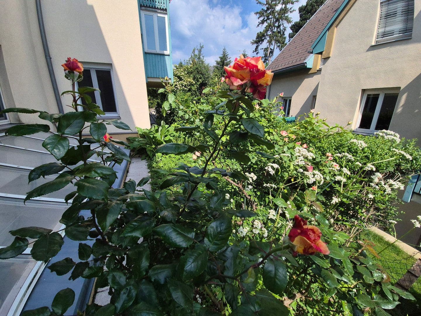 3 bedroom flat for sale, 95 m², Wien, Vienna 3 bedroom flat for sale, 95 m², Wien, Vienna