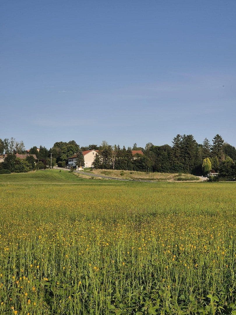 house for sale, 216 m², Am Feldl 5, Egmating, Bavaria house for sale, 216 m², Am Feldl 5, Egmating, Bavaria