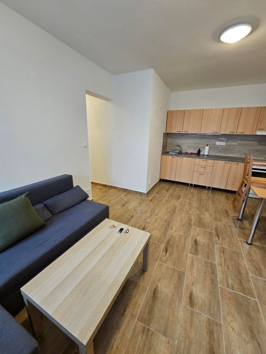 1 bedroom with open-plan kitchen flat to rent, 32 m², Charbulova, Brno, Jihomoravský Region 1 bedroom with open-plan kitchen flat to rent, 32 m², Charbulova, Brno, Jihomoravský Region