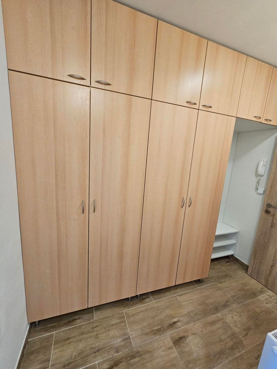 1 bedroom with open-plan kitchen flat to rent, 32 m², Charbulova, Brno, Jihomoravský Region 1 bedroom with open-plan kitchen flat to rent, 32 m², Charbulova, Brno, Jihomoravský Region