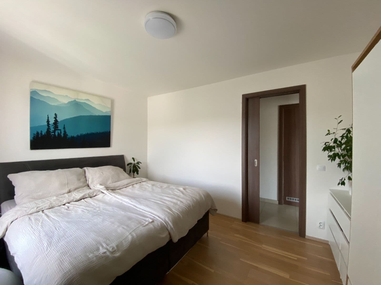 1 bedroom with open-plan kitchen flat to rent, 61 m², Nekvasilova, Prague, Prague 1 bedroom with open-plan kitchen flat to rent, 61 m², Nekvasilova, Prague, Prague