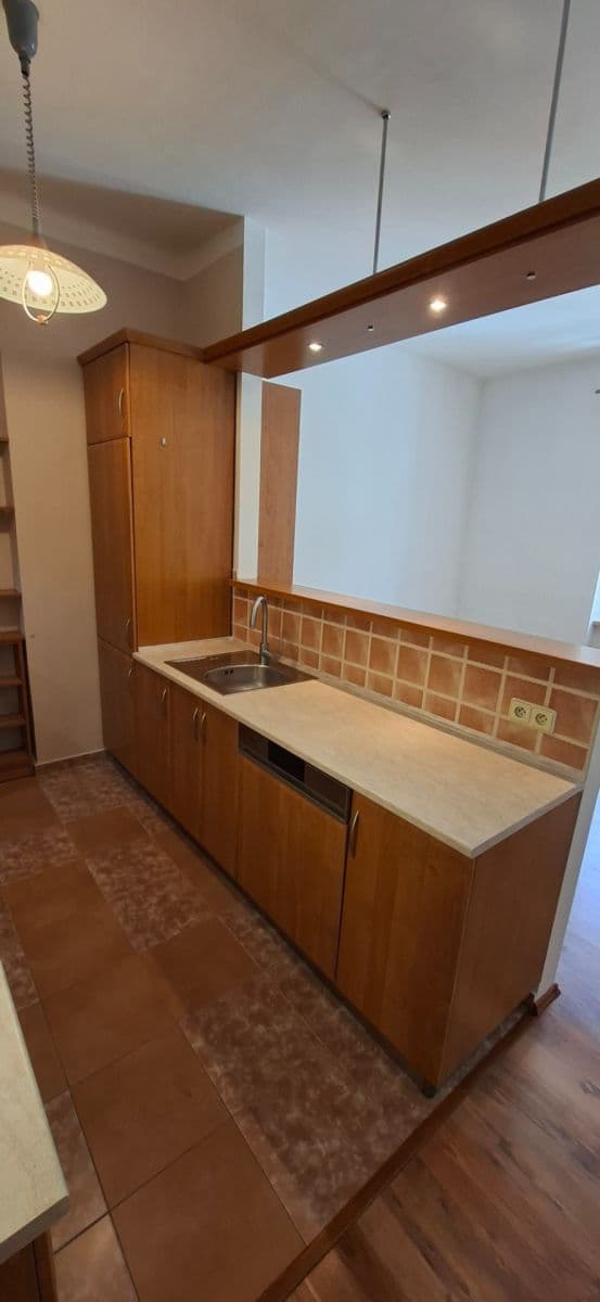 1 bedroom with open-plan kitchen flat to rent, 50 m², Mánesova, Hradec Králové, Královéhradecký Region 1 bedroom with open-plan kitchen flat to rent, 50 m², Mánesova, Hradec Králové, Královéhradecký Region