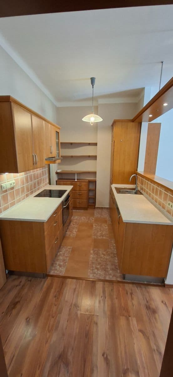 1 bedroom with open-plan kitchen flat to rent, 50 m², Mánesova, Hradec Králové, Královéhradecký Region 1 bedroom with open-plan kitchen flat to rent, 50 m², Mánesova, Hradec Králové, Královéhradecký Region