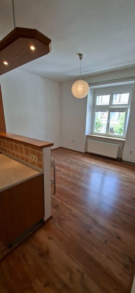 1 bedroom with open-plan kitchen flat to rent, 50 m², Mánesova, Hradec Králové, Královéhradecký Region 1 bedroom with open-plan kitchen flat to rent, 50 m², Mánesova, Hradec Králové, Královéhradecký Region