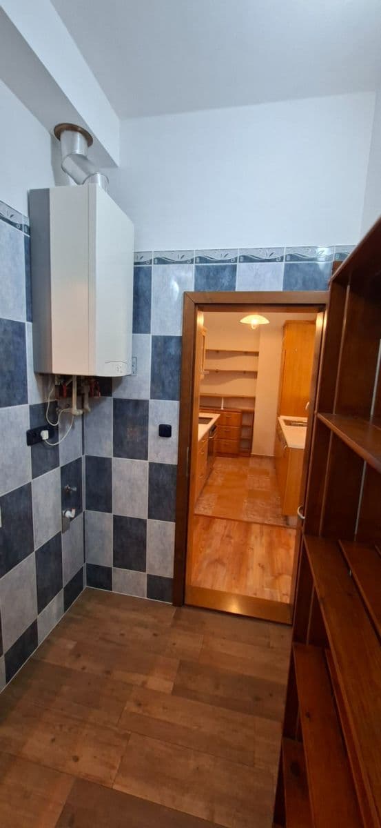 1 bedroom with open-plan kitchen flat to rent, 50 m², Mánesova, Hradec Králové, Královéhradecký Region 1 bedroom with open-plan kitchen flat to rent, 50 m², Mánesova, Hradec Králové, Královéhradecký Region